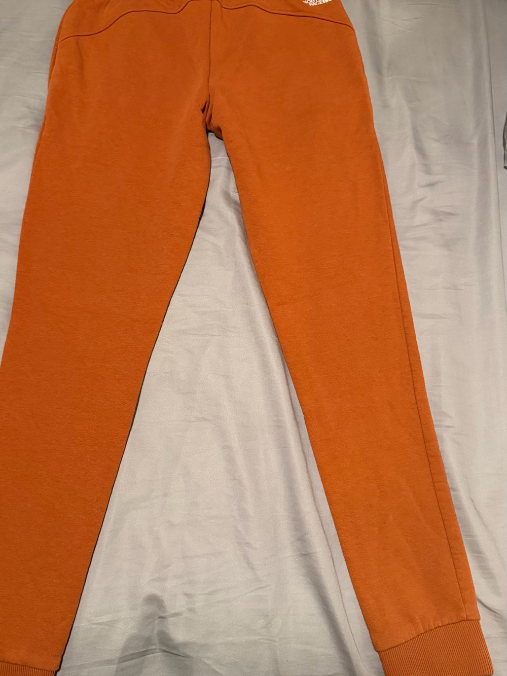 The North Face Rust Orange Women's Jogger Pants